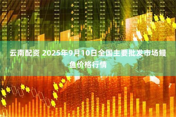 云南配资 2025年9月10日全国主要批发市场鳗鱼价格行情