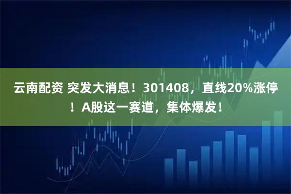 云南配资 突发大消息!301408,直线20%涨停!A股这一赛道,集体爆发!