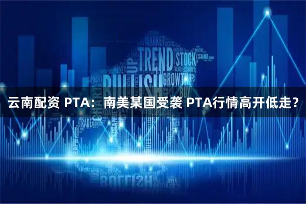 云南配资 PTA：南美某国受袭 PTA行情高开低走？